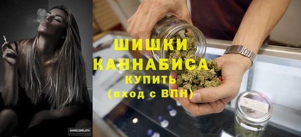 индика Снежногорск