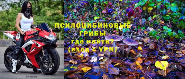 бутират Алексин