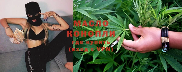 дживик Слюдянка