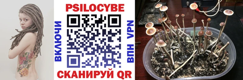 blacksprut ссылка Сим Псилоцибиновые грибы мицелий продажа наркотиков